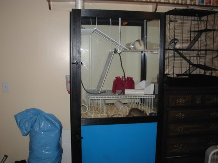 Claw Machine Rat Cage Pic #1