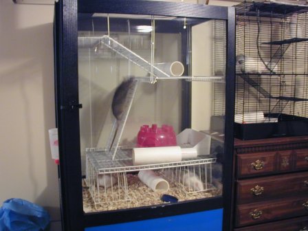 Claw Machine Rat Cage Pic #8