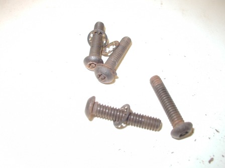 Midway / Cruis'n World / Off Road Challenge - Sit Down Gas and brake Pedal Assembly Mounting Bolts (Item #33) $3.99
